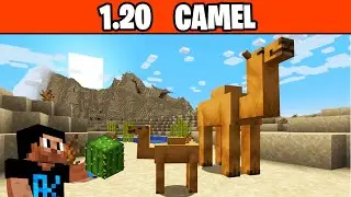 MINECRAFT  1.20 Camel 