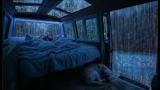 Heavy Rain Sounds for Deep Sleep 🌧️ ASMR Rain Noise for Studying & Relaxation
