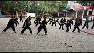 #viral #Perguruan silat ravenus terus berlatih .demi menggegerkan dunia . Jurus tunggal ravenus .