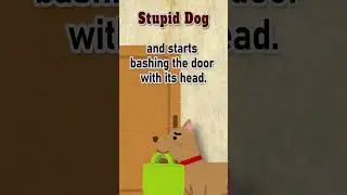 stupid dog? #joke #dog #funny