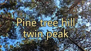Pine Tree Hill Twin Peak [Fraser Hill]