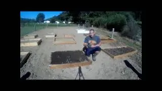 DIY - How to Grow Garlic From Store Bought Cloves