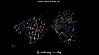 CTX-M-9 class A beta-lactamase