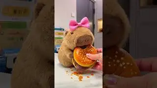 Capybara's Burger Time! #capybara #hamburger #cute #food