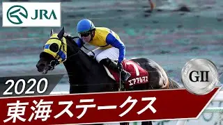 2020年 東海ステークス（GⅡ） | エアアルマス | JRA公式