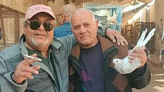 🔴 هالوه امريكا من قلب  سوق السيدة عائشة مع د#ماهر_اندوروس #الحمام_الغزار