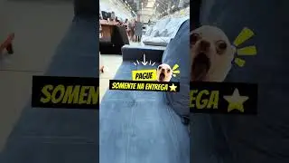 Esse sof&aacute; vai mudar sua sala 🛋️✨