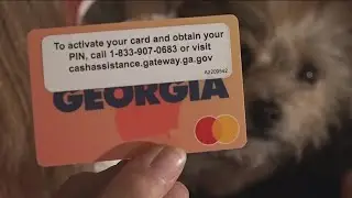Georgia attorney general slammed for refusing investigation into pandemic assistance program