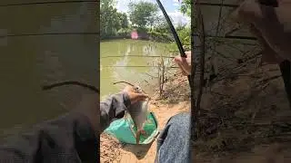 Ở đ&acirc;u m&oacute;m c&ograve;n S&ocirc;ng Gi&ecirc;ng kh&ocirc;ng l&agrave;m ta thất vọng