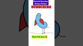 🦚🐢Peacock Drawing In Python Turtle |Coding Status 
