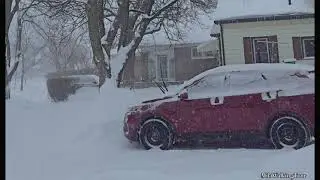 Snowfall ❄️ Walking Tour in Canada - Cozy Winter Ambience for Sleep & Study.