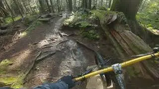 Cabin trail - exploring Seymour mountain BC Canada