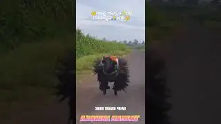 👌👌👌