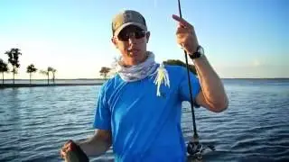 Using Shad Patterns To Catch Big Bass (Shad Chaser Theme Box)