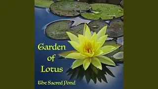 The Sacred Pond