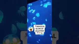 🪼MAGICAL GLOW of JELLYFISH AT CEBU OCEAN PARK🤗🪼🎊🥰