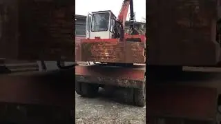 ragno Minelli ivgbrescia