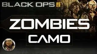 Black Ops 2 ZOMBIES Camo on All Weapons - ZOMBIES Customizable Pack