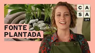 Aprenda a fazer um arranjo de plantas em uma fonte de água | Jardinagem | Carol Costa