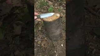 Splitting logs with a knife 🪵