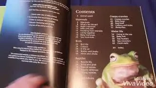 First Encyclopedia of Animals Usborne