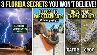Florida : Secrets of the Sunshine State (Rapid Fire)