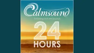 Wind Sounds: Gentle Summer Breeze
