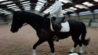 E Riders Riding Club intro 1A , February 2026. Susan Mordey with Disaronno III