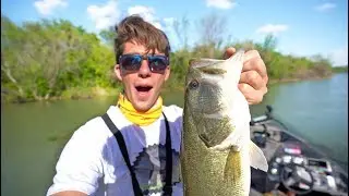 Super Strange Fish Catch In The Trees + (Never Stop Tour 2 UPDATES)