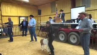 2015 Stock Show - Goat Auction