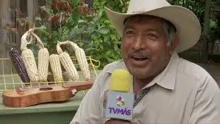 Productor de Maíz Criollo