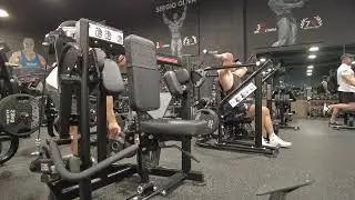 Newtech Wellness M Torture Arm Curl