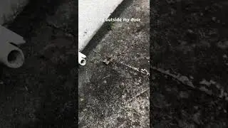 I think it wants to come in