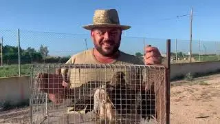 Mirar Camperos lo que a ca&iacute;do en esta jaula,dos Cernicalos peque&ntilde;os👍😍😘Siempre Parriba Mi Gente