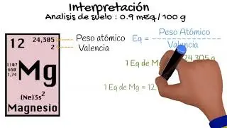 Magnesio en el suelo