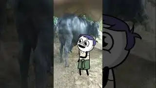 Sudama Dost, Krishna Missing 😂 #shorts #shortvideo #youtubeshorts