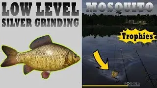 Best Silver Grinding Spot on Mosquito Russian Fishing 4