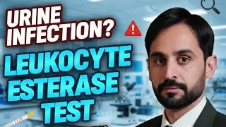 Leukocyte Esterase Test