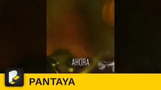 Rel&aacute;jate y hazte un #BINGE de #MalaYerba AHORA por #StreamPantaya.  #shorts | Pantaya