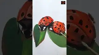 lady bug drawing | acrylic painting | #acrylicpainting #drawing trishit