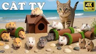 🔴 Cat Videos for Cats to Watch 📺 Adorable Mice Fun &ndash; Chase, Hide & Seek for Cats to Prevent Boredom