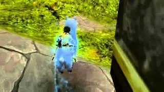 Dragon nest Glitch