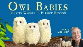 Owl Babies | Children&rsquo;s Books READ ALOUD Stories for Kids