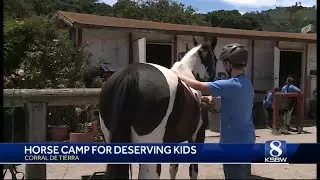 13 kids with Kinship center are experiencing horse camp