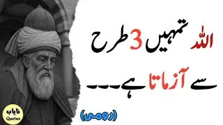 Allah Tests You In Three Ways/Islamic Quotes/Rumi Quotes