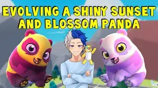 HATCHING EVO EGGS AND EVOLVING A SHINY SUNSET+BLOSSOM PANDA