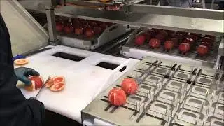 Cr&eacute;ation d'une chaine de production sur-mesure pour le secteur agro-alimentaire par MECANUMERIC