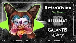 RetroVision vs Galantis - Get Down vs No Money (Krossbeat Mashup)