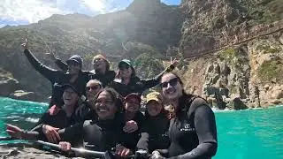Animal Ocean&rsquo;s Ocean Safari &ndash; Cape Town&rsquo;s Ultimate Ocean Adventure!