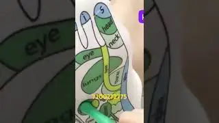 ACUPRESSURE REFLEXOLOGY SOCKS Foot Massage Reflexology Acupressure Reflexology Tools Body Sock